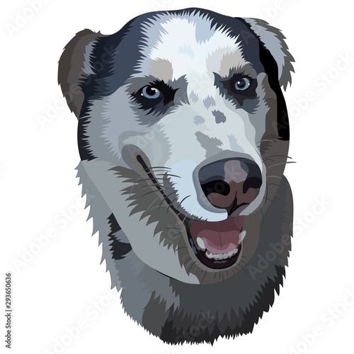 Laika