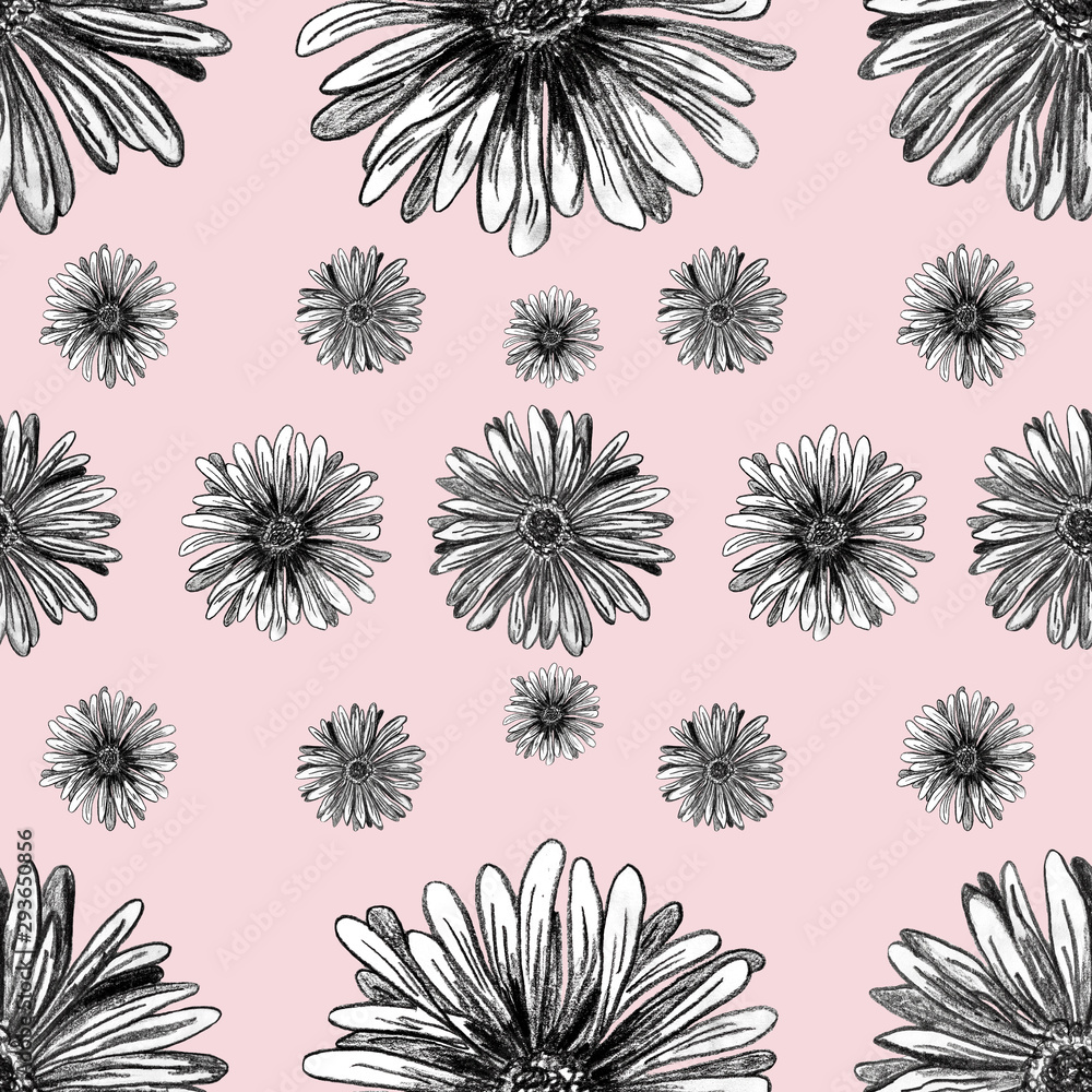 Gerbera flowers, hand drawn seamless pattern with blossom lines on pink