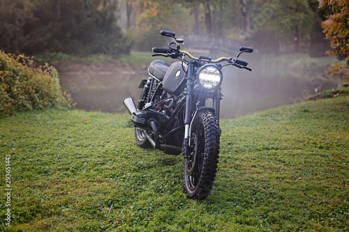 Slika na platnu Classic motorcycle parked on grass in a foggy autumn park