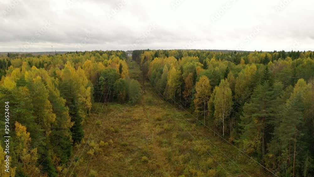 Power line in the forest aerial. Aerial shot of high voltage wires in the forest. Power line in the forest aerial. Aerial shot of high voltage wires in the forest.