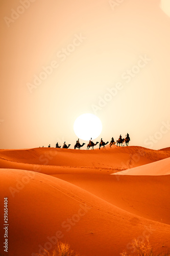 Sahara desert