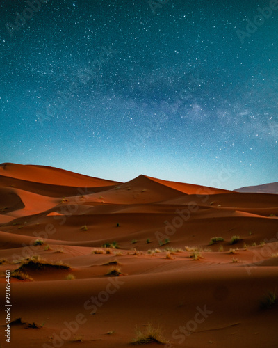 Fototapeta Naklejka Na Ścianę i Meble -  Sahara desert
