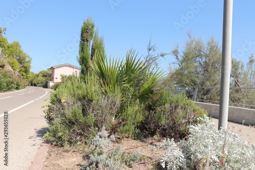 Fototapeta Naklejka Na Ścianę i Meble -  Radweg San Lorenzo
