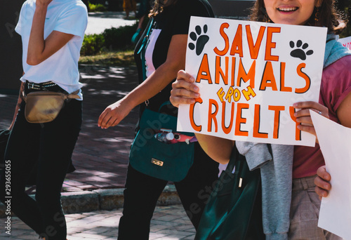 The word " Save animals from cruelty " drawn on a carton banner in woman's hand. Human holds a cardboard with an inscription. Animal Right March. Protest. Rally. Marching