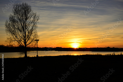 Sunset with bare tree, stork nest and river