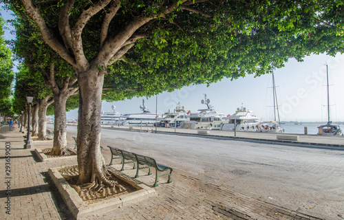 Wallpaper Mural Sicily marina port with yachts and sailing boats. Torontodigital.ca