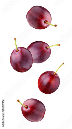 falling plums, isolated on white background.