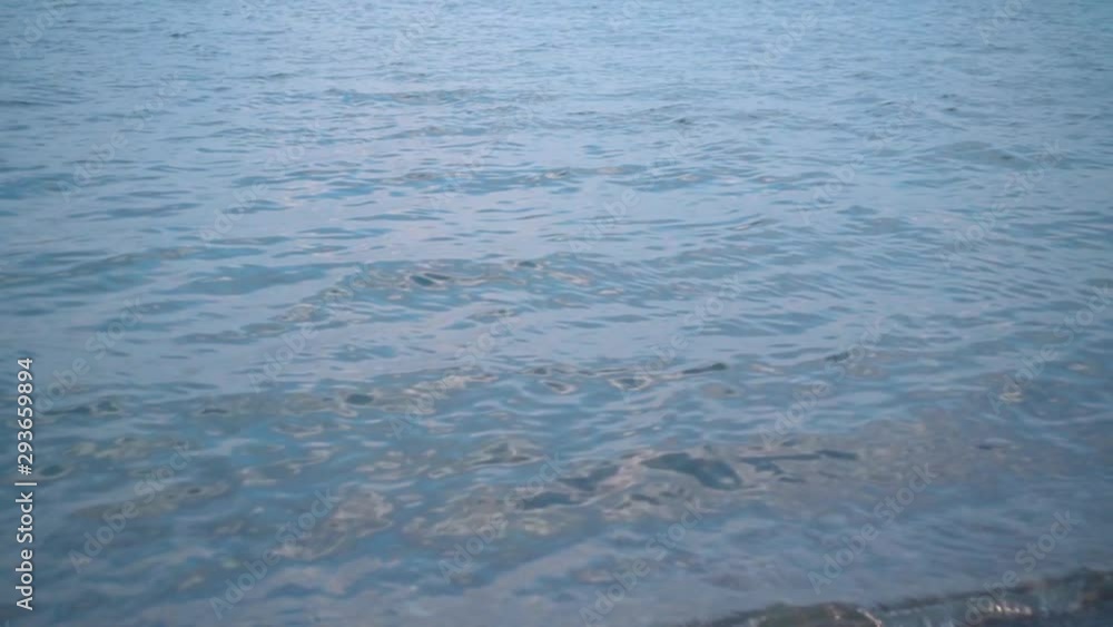 A young girl lying on the seashore unconscious, without movement. Unrecognizable, a woman lies face down on the shore with wet hair and clothes, her legs are covered in sea water. A young girl lying on the seashore unconscious, without movement. Unrecognizable, a woman lies face down on the shore with wet hair and clothes, her legs are covered in sea water.