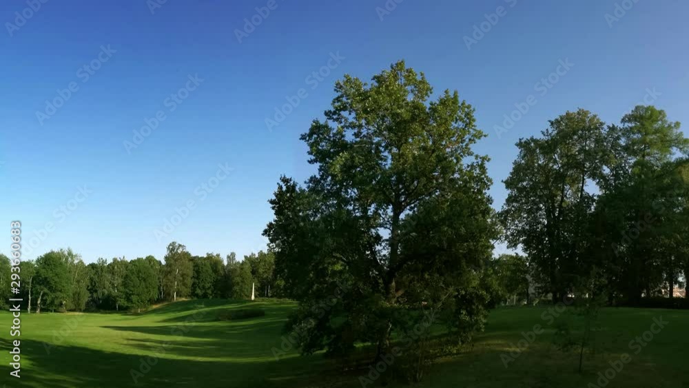moving panorama of summer park moving panorama of summer park