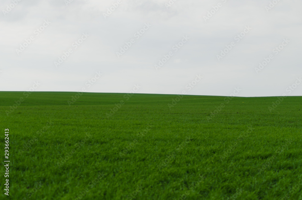 green agricultural field and sky in autumn green agricultural field and sky in autumn