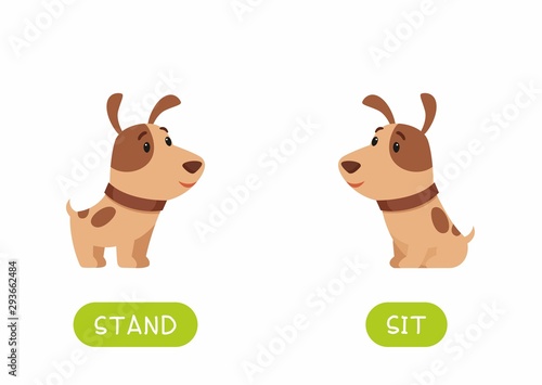 Educational word card with antonyms vector template. Flash card for english language learning with cute dog. Opposites concept, stand and sit. Adorable puppy flat illustration with typography