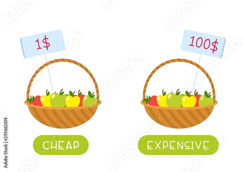 Educational word card with fruits vector template. Flash card for english language. Opposites concept, cheap and expensive. Food basket with low and high price tags flat illustration with typography photo