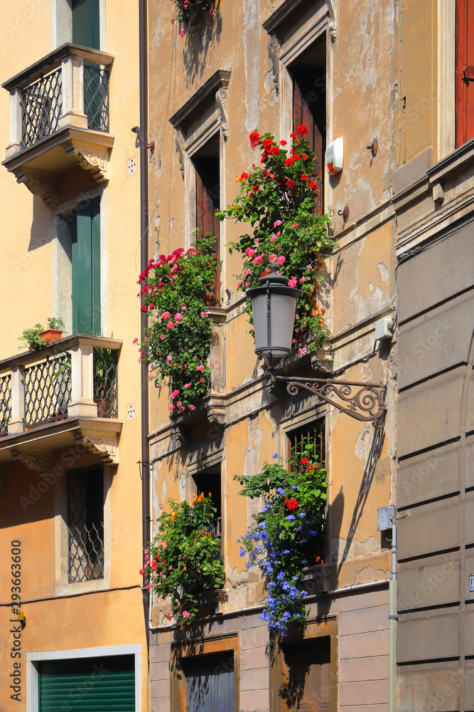 historical building with flowers in padua