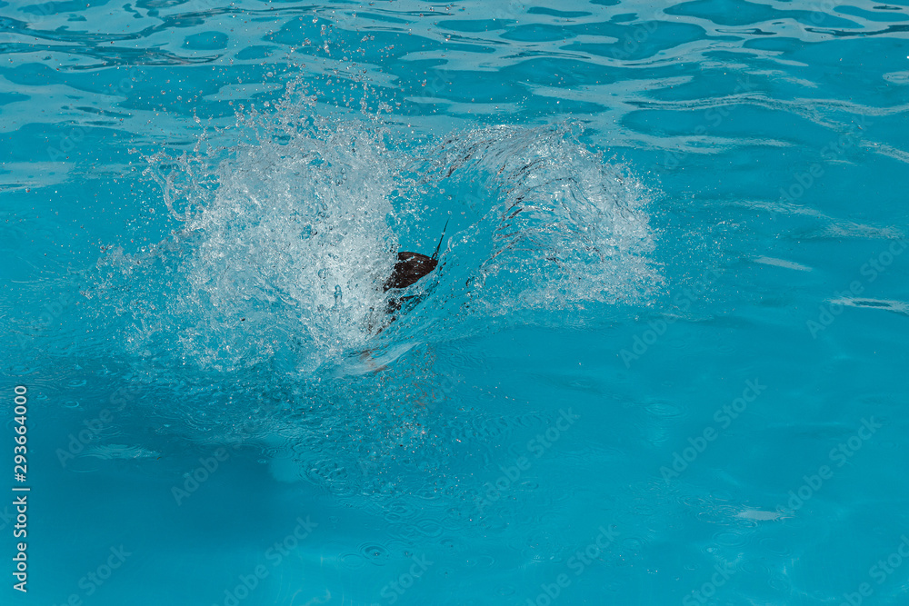 splashing in a swimming pool, enjoying, Portugal
