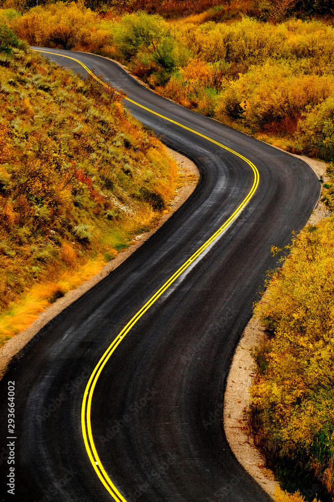 Road with Yellow Stripes Winding Driving Road with Yellow Stripes Winding Driving