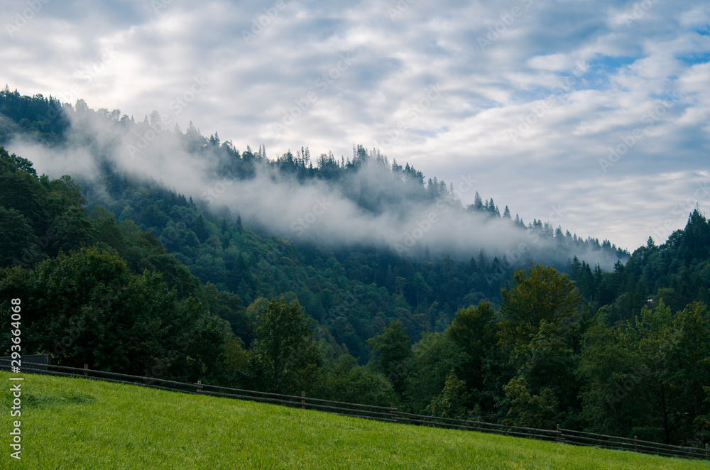 Morning fog in the mountains against the background of ancient snout forest
