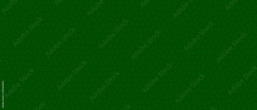 Fototapeta premium texture, sfondo, pattern, cellule vegetali