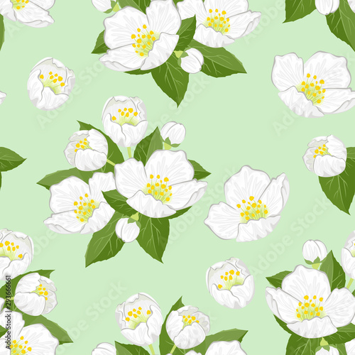 Jasmine flowers on green background seamless pattern. Vector floral illustration in cartoon simple flat style.
