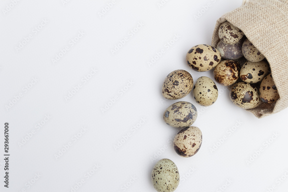 Quail eggs in fabric holder on white background. Free copy space.