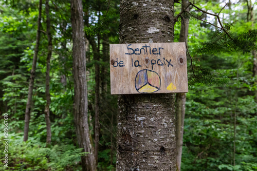 Diverse people enjoy spiritual gathering A close up view of a small wooden plaque with the peace symbol and French words saying path of peace, fixed to a tree in woods during a multicultural retreat.