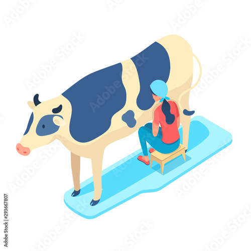 Woman milking cow isometric vector illustration