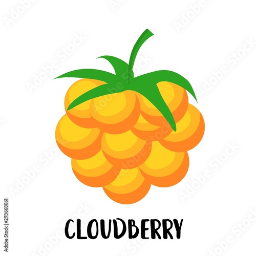 Cloudberry berry yellow character with face and smile. Kawaii sweets and desserts.
