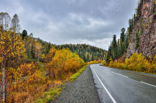 Mountain Road Through a Colourful Forest at Rainy Autumnal Weather