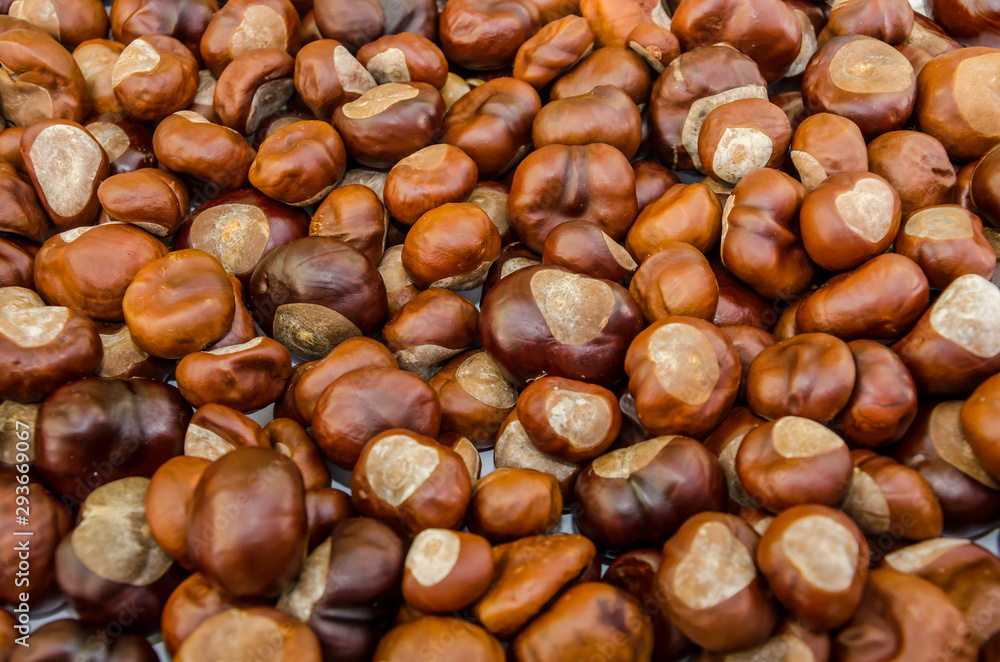Beautiful background with chestnuts. View from above. Beautiful background with chestnuts. View from above.