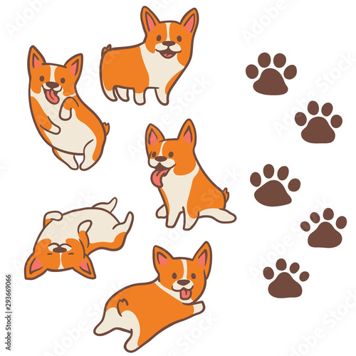 Cartoon Corgi Dog Illustration Isolated 