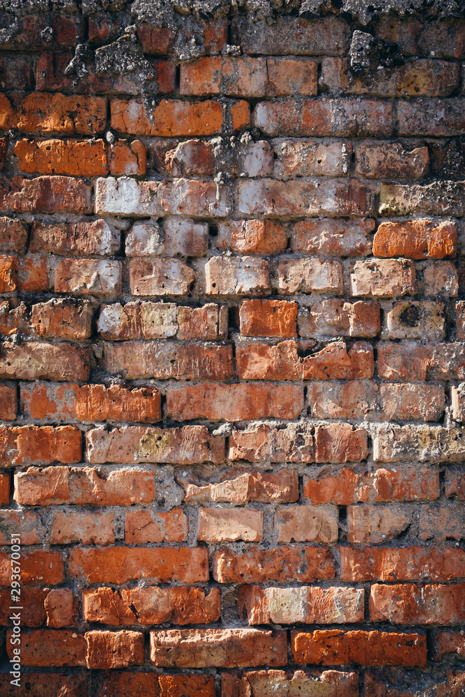 Obraz premium Brick wall texture