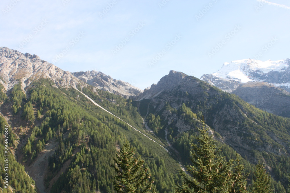 Blick auf den Ortler