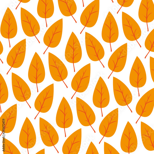 Autumn leaves background vector design icon