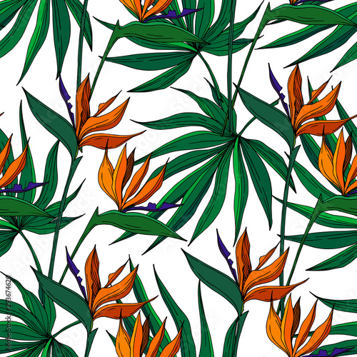 Vector Tropical floral botanical flowers. Black and white engraved ink art. Seamless background pattern.