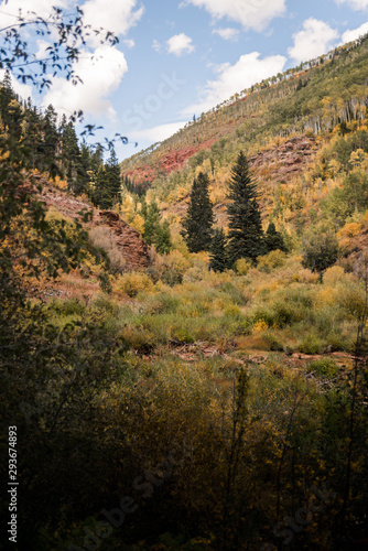 Landscape view of the mountains in Vail  Colorado covered in fall foliage. 