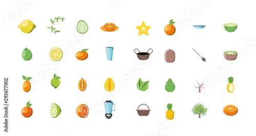 Fototapeta Naklejka Na Ścianę i Meble -  bundle of summer fruits with set icons