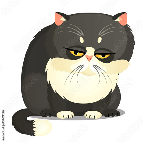 Sad fat gray cat with yellow eyes isolated on a white background. Funny animal. Vector cartoon close-up illustration.