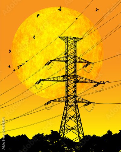 Photography Birds on a power line