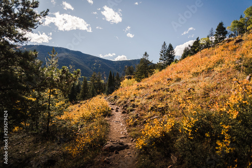 A trail in Vail  Colorado during autumn. 