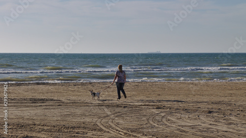 Beach with Woman and Dog