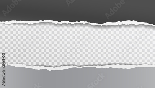Pieces of torn, white squared realistic horizontal paper strips with soft shadow are on grey background. Vector illustration