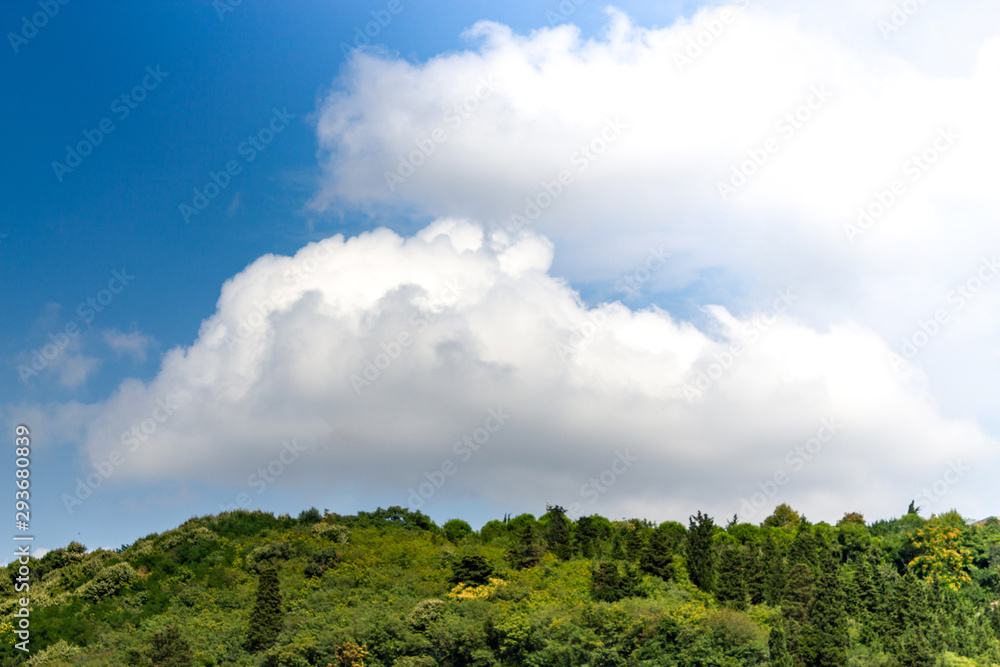 Blue cloudy sky and green forest in summer background