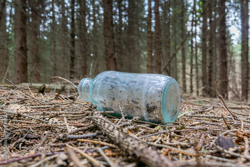 Garbage in the forest. Glass bottle thrown in the forest. The problem of ecology and nature pollution. Garbage in the forest. Glass bottle thrown in the forest. The problem of ecology and nature pollution.