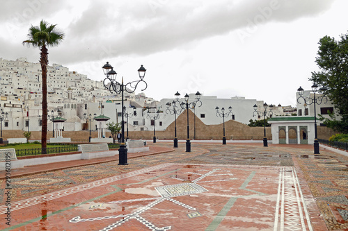 View from the Feddan Park with red floor tiles, floor mosaics, palms, a pavillon and historic lamps to the beautiful Medina (old town) with white little houses on a cloudy day (UNESCO World Heritage); photo