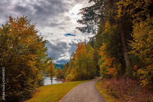 The walking path in the national park  Schwarzwald   Black Forest with some colored trees and nice clouds in the blue sky at autumn. Nagoldtalsperre  Germany.