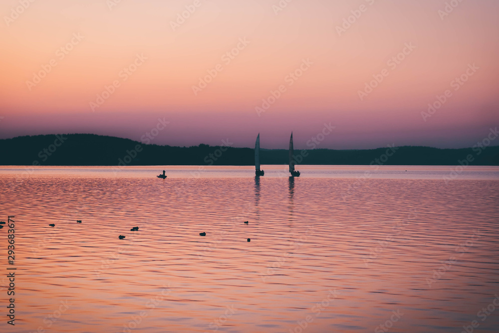 Sailing boats at sunset on background. many wild ducks swimming in water. silhouette of fishermen in a boat on a lake.