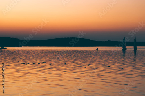 Sailing boats at sunset on background. many wild ducks swimming in water. silhouette of fishermen in a boat on a lake.