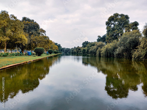 Water Reflections