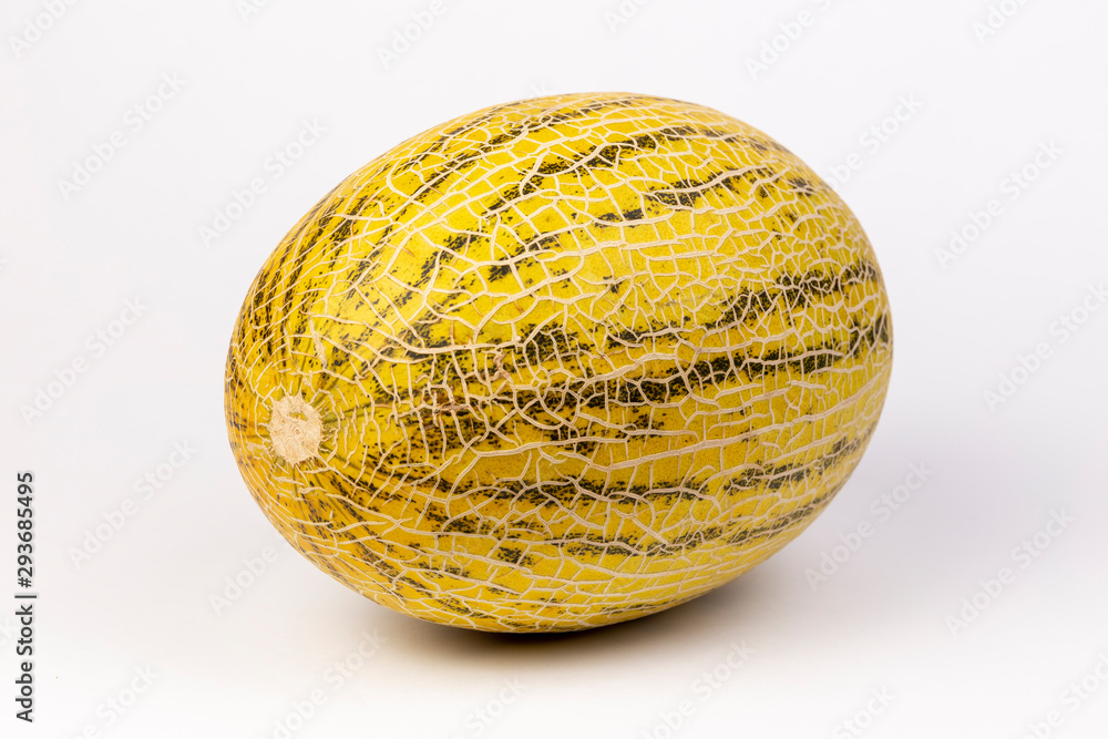 Melon on a white background isolated Melon on a white background isolated