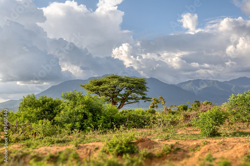 panorama view of Omo Valley, Omorati Etiopia, Africa nature and wilderness photo