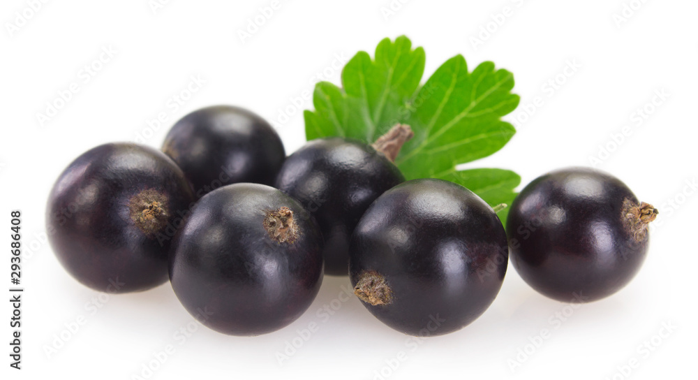 Black currant on white background Black currant on white background